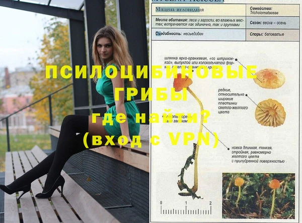 jwh Елабуга