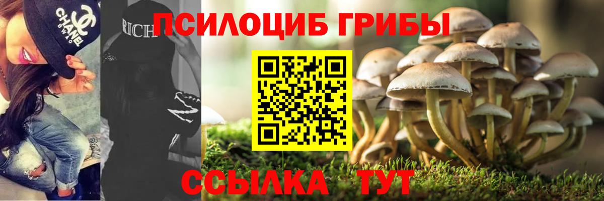 Галлюциногенные грибы Magic Shrooms Ивантеевка